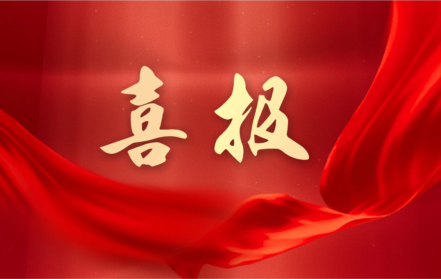 營(yíng)收凈利雙增長(zhǎng)！依頓電子2025年一季度經(jīng)營(yíng)業(yè)績(jī)續(xù)寫高質(zhì)量發(fā)展華章